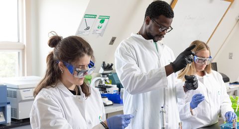 نقش حیاتی کیفیت کارآموزی در آزمایشگاه‌های تشخیص پزشکی برای آینده شغلی دانشجویان علوم آزمایشگاهی